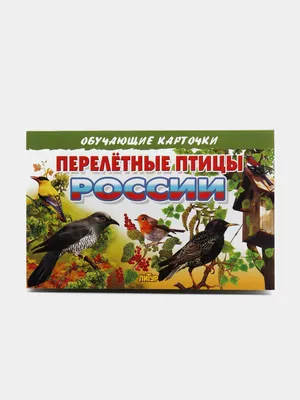 Каких птиц можно встретить в Москве и где их искать? Объясняет орнитолог -  Афиша Daily