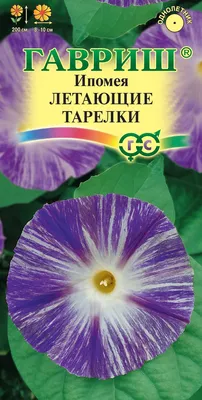 В СССР была создана «летающая тарелка», превосходящая даже современные  самолёты - Quto.ru