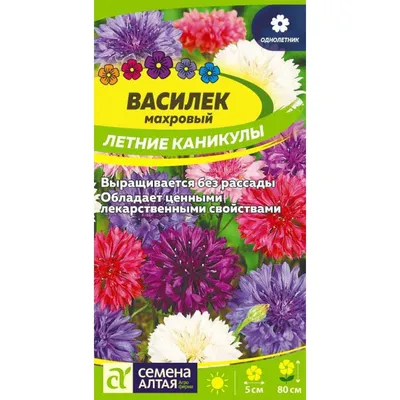 Летние поделки\" (1 часть) Делаем берёзку, солнышко, землянику и стрекозу.  Шаблоны для распечатки и создания летних поделок. - Мой знайка