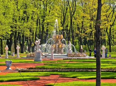 Ворота Летнего сада.. Летний сад. Фото Санкт-Петербурга и пригородов