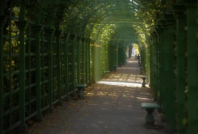 Летний сад в Санкт-Петербурге