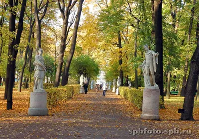 Летний сад в Санкт Петербурге — Твой город - Питер