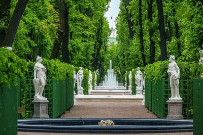 Летний сад города Санкт-Петербурга | Сады Русского Музея