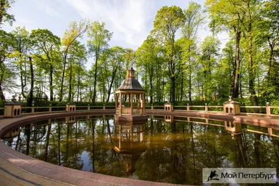 Летний сад в Санкт-Петербурге: как добраться, режим работы, история, фото