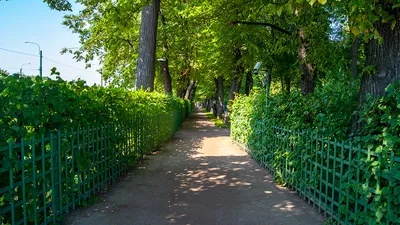 Летний сад в Санкт-Петербурге | История, фото, как добраться