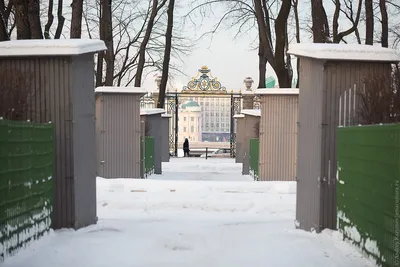 Летний сад. Санкт-Петербург, Сергей Ляхович