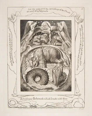 Destruction of Leviathan - The destruction of the Leviathan, the marine  monster of the Old Testament - engraving in “The Bible illustree” by  Gustave Dore (1832-1883) - Engraving from “The Dore Bible”