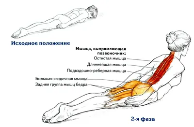 Комплекс упражнений ЛФК для опорно-двигательного аппарата