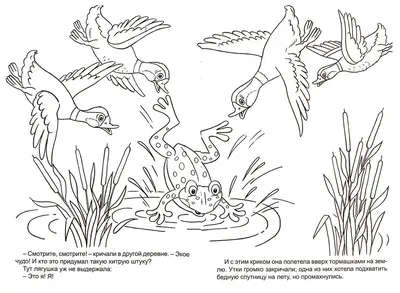 Лягушка-путешественница Сказка-раскраска с наклейками купить по цене 60 р.