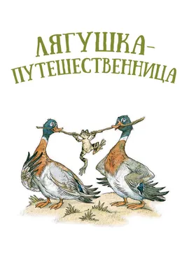 БЮРО НАХОДОК\" Обложка для загранпаспорта ( 10х14 см) \"Лягушка- путешественница\" RN576 купить за 260,00 ₽ в интернет-магазине Леонардо