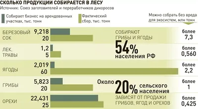 Новая Газета №111 (понедельник) от 01.10.2012 by Novaya Gazeta - Issuu