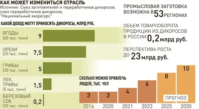 ПРИКАЗ Об итогах школьного этапа всероссийской олимпиады школьников