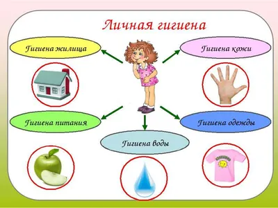 Личная гигиена детей дошкольного возраста — Профилактика — ГБУЗ Городская  больница Анапы