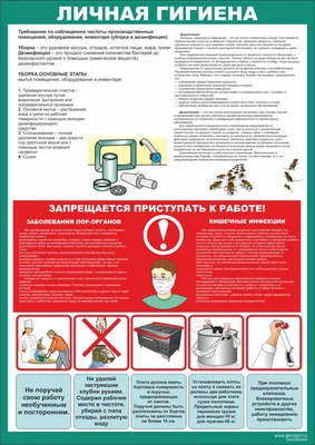 Чек-лист: личная гигиена дошкольников в детских садах и дома