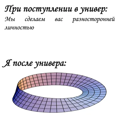 Вы это сеть: философ Кэтлин Валлас о том, почему личность нельзя свести к  телу, разуму или социальной роли