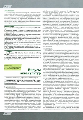 Двухсоточка: те же яйца, только в профиль. - стр. 11 - Дневник аквариума -  Форум Аквариумистов