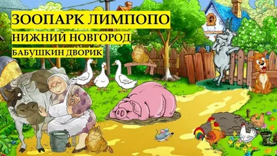 Нижегородский зоопарк «Лимпопо»: история, животные зоопарка, адрес и фото