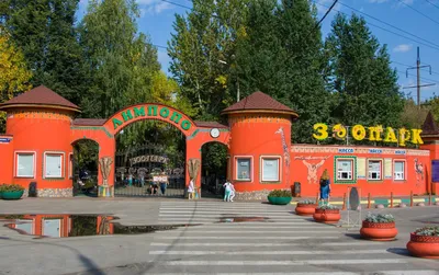 Зоопарк Лимпопо в Нижнем Новгороде | Описание и фото