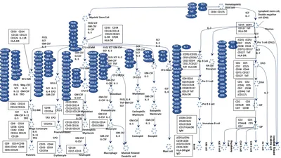 Data Lineage Mapping and Documentation: A Guide