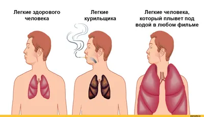 Картинки для срисовки карандашом красивые и лёгкие. Как рисовать