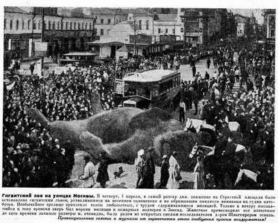 Russia, Irkutsk, August 2020: Babr Sculpture. the Figure is Borrowed from  the Coat of Arms of the City Editorial Photo - Image of ancient, downtown:  194663066