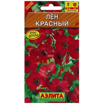 5 исторических фактов о льняной ткани. И сложно ли вырастить лён на своем  участке | Вдохновенная Кулина | Дзен