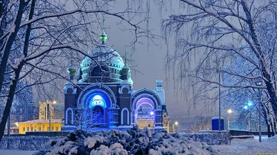 На ЖКХ, деревья и ямы на дорогах больше всего жаловались жители Липецкой  области за неделю - последние новости в Липецке и области на официальном  сайте - Филиал ВГТРК \"ГТРК\"Липецк\"