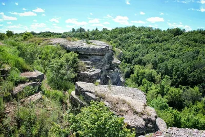 Церковь Димитрия Солунского, Берёзовка, Липецкая область.