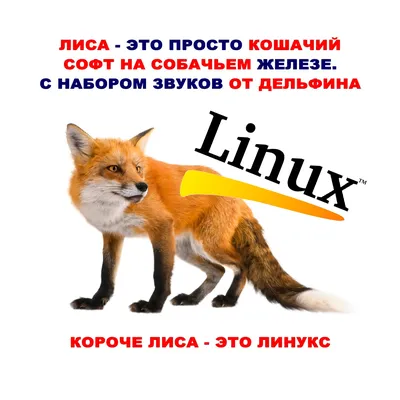 Лиса и Лебедь. Коломенское.– купить в интернет-магазине, цена, заказ online