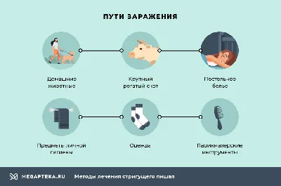 Лишай у человека | симптомы, причины и лечение