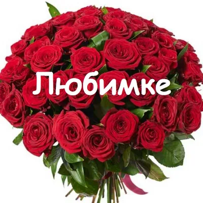 сновымгодом #любимка #ДавайЗаСтол #новогодняяоткрытка2022 #ловиновыйг... |  TikTok