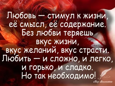 Смешные картинки с надписью про жизнь | Цитата про путешествия, Цитаты,  Правдивые цитаты