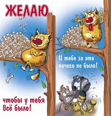 70+ открыток «С днем рождения»: скачать бесплатно и распечатать красивые и  прикольные открытки на день рождения с поздравлениями, пожеланиями и без