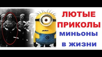 Приколы #Мемы #Отдых О! МОЯ ШКОЛА! Угарные мемы 2019 — Видео | ВКонтакте