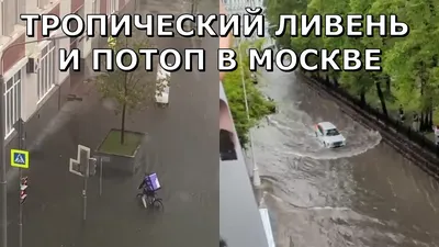 В Гидрометцентре заявили, что ливень в Москве продлится почти сутки -  Газета.Ru | Новости