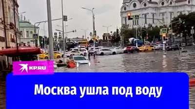 Ливень в Москве затопил автобус: Город: Среда обитания: Lenta.ru