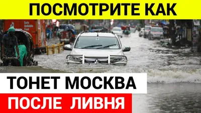 Ураган и ливень в Московской области, фото и видео последствий: Последние  новости на 8 июля 2023 года - KP.RU