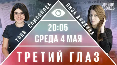 Какая из этих Лиз вам более симпатична? журналистки Эхо Москвы \"живой  гвоздь\". Почему+