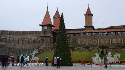 Парк Лога готов к встрече Нового 2022 года | Новости парка Лога