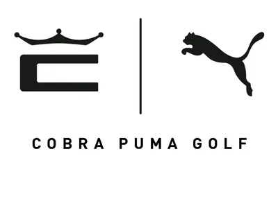 puma logo vector, puma icon free vector 20336033 Vector Art at Vecteezy