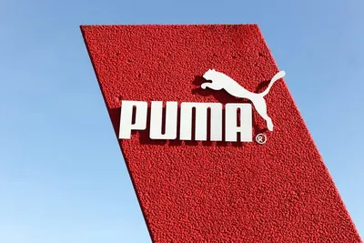 Why did they print the 1951 logo? : r/PUMA