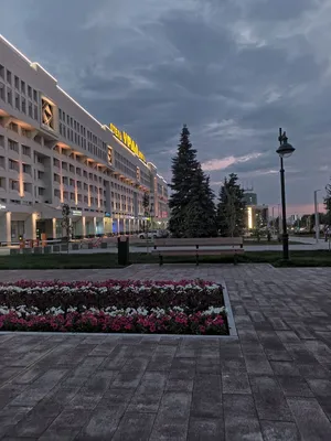 Синоптики рассказали о погоде на неделю и на День города в Перми |  05.06.2023 | Пермь - БезФормата