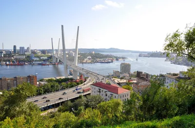 В концепции развития города-спутника нашлось место парку с водоёмами и  рыбному рынку, которых нет даже во Владивостоке – Новости Владивостока на  VL.ru