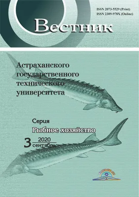 Красный морской окунь в аквариуме Стоковое Изображение - изображение  насчитывающей жизнь, пурпурово: 110050381