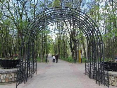 В Смоленске в Лопатинский сад вернулись лебеди | 06.04.2023 | Смоленск -  БезФормата