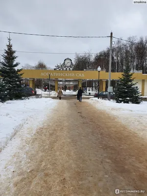 Центральный парк культуры и отдыха Лопатинский сад - отзывы, фото, цены,  телефон и адрес - Развлечения - Смоленск - Zoon.ru