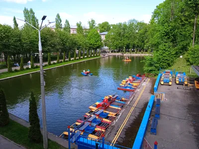 Лопатинский сад. | Смоленский район | Фотопланета