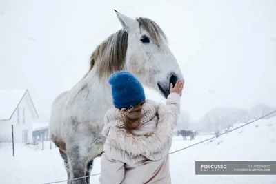 Фото лошади на фоне зимнего заката