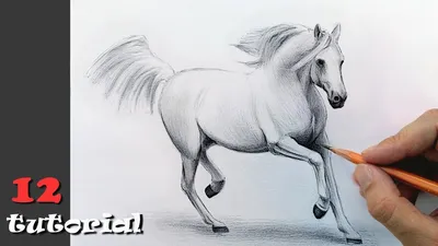 How to draw a horse (a horse) with a pencil? A staged lesson with an  explanation! - YouTube