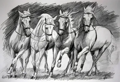 Realistic Horse Drawings